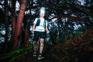 BIB: 
                            <button type="button" onclick="openModal(26341524)" class="btn btn-primary btn-sm float-right btn-popup" data-toggle="modal" data-target=".modal-high-quality">
                        <i class="fas fa-shopping-cart"></i> Add to Cart
                    </button>
                                            <button type="button" onclick="isThisMe(26341524, true)" class="btn btn-success btn-sm float-right btn-popup btn-isme hidden" data-toggle="tooltip" data-placement="bottom" title="นี่คือรูปของคุณใช่ไหม คลิกที่นี่เพื่อเอาเข้าอัลบั้ม">
                        <i class="fas fa-plus"></i> Add to album
                    </button>
                    <button type="button" onclick="isThisMe(26341524, false)" class="btn btn-warning btn-sm float-right btn-popup btn-isnotme hidden">
                        <i class="fas fa-ban"></i> Remove from album
                    </button>